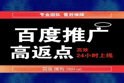 百度推广实战：案例分享与效果评估