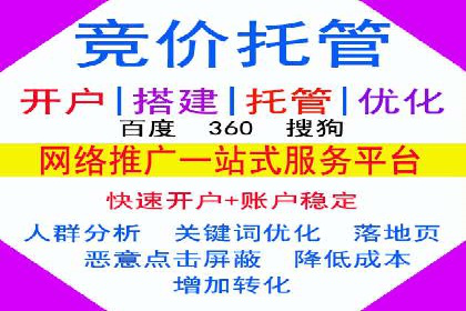 百度推广策略揭秘：某行业领头羊的成功经验